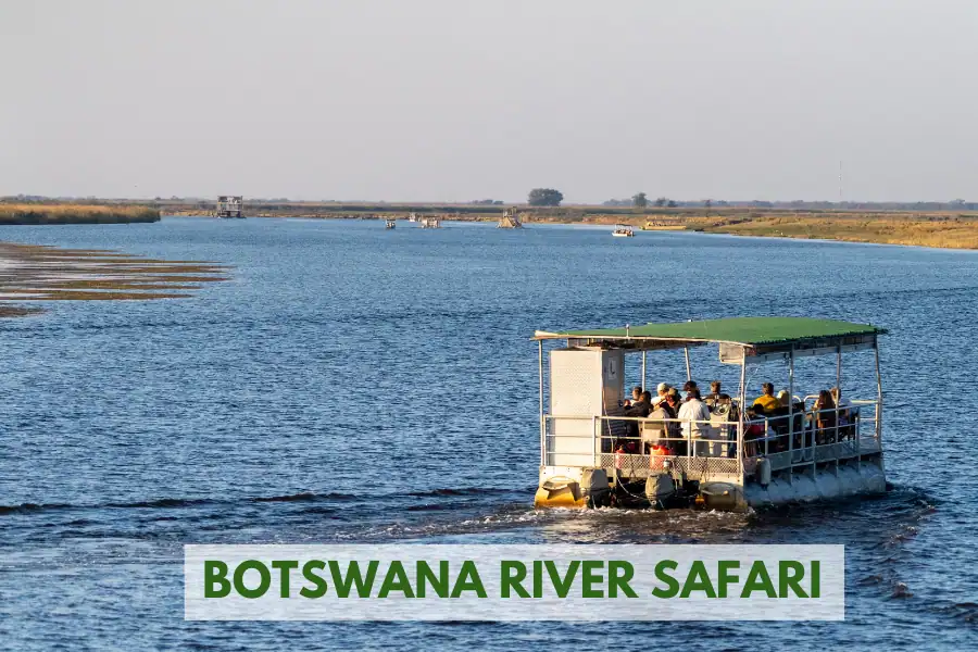 Botswana river safari