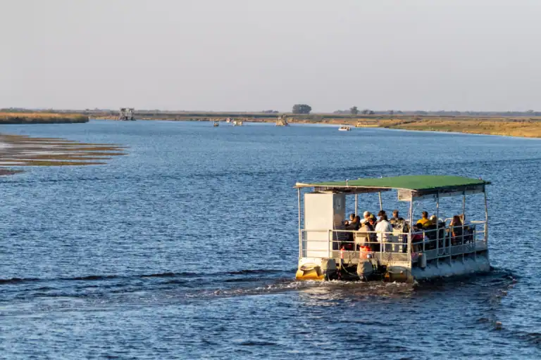 Botswana River Safari