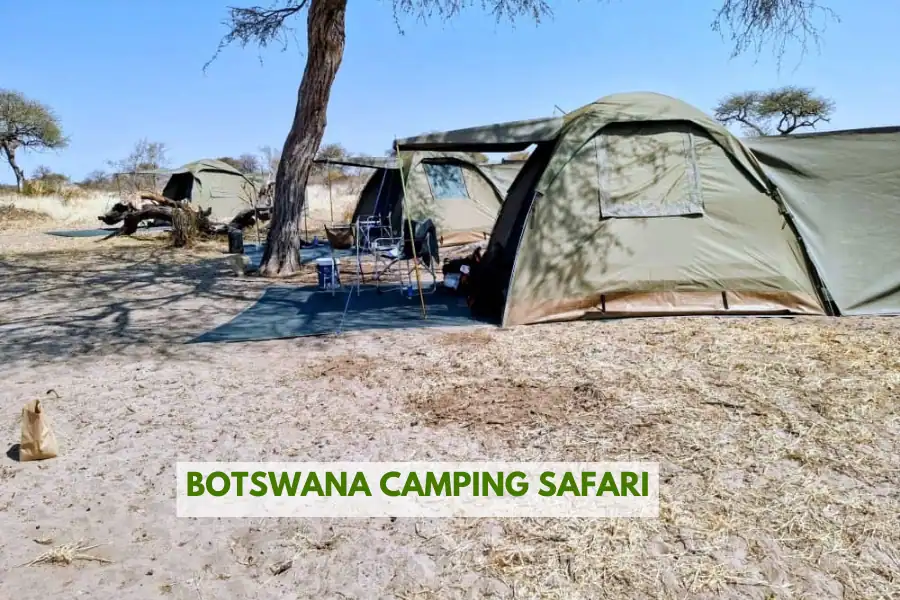 Botswana camping safari