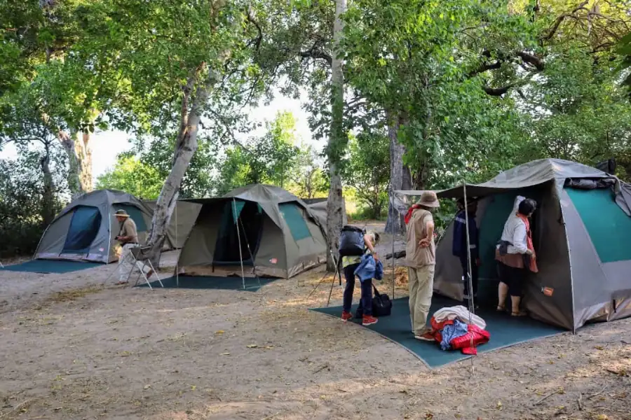 Chobe camping safari