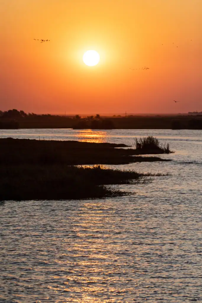 Chobe river cruise prices