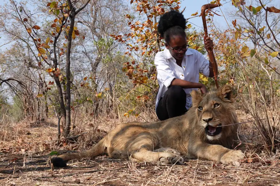 Botswana Victoria Falls Safari cost