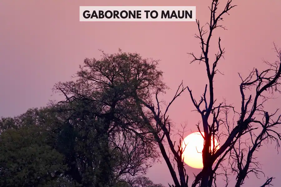 Gaborone to Maun