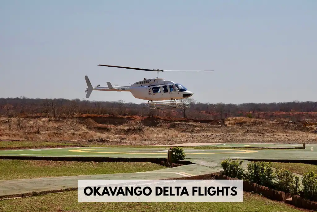 Okavango Delta Flights