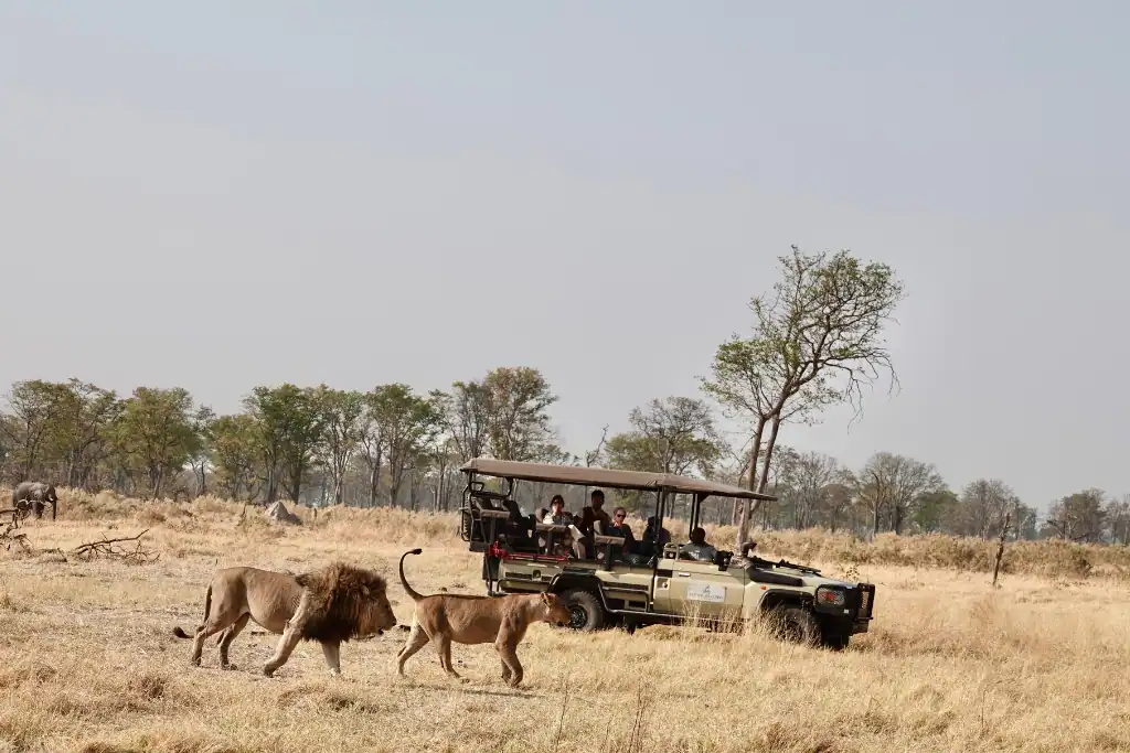 Okavango Delta safari
