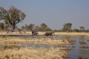 Botswana holiday packages