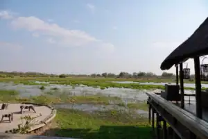 Sable Alley Camp, Okavango Delta