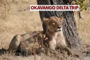 Okavango delta trip