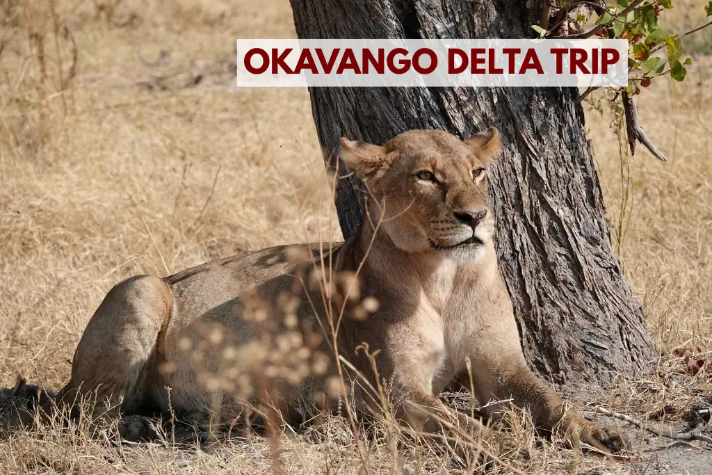 Okavango delta trip