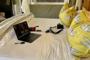 essential safari items