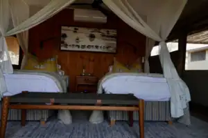 1 week Botswana safari