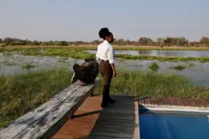 Botswana places to stay