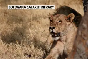 Botswana Safari Itinerary