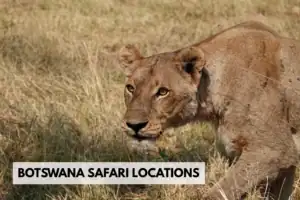 Botswana safari locations
