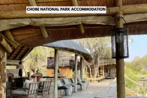 Chobe National Park Accommodation