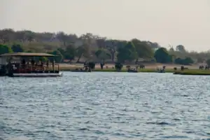 Chobe national park river