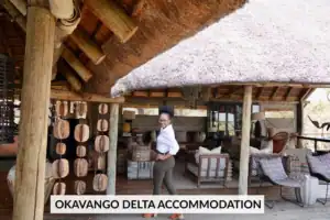 Okavango Delta accommodation
