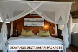 Okavango delta safari packages
