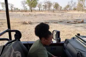 safari holiday Botswana