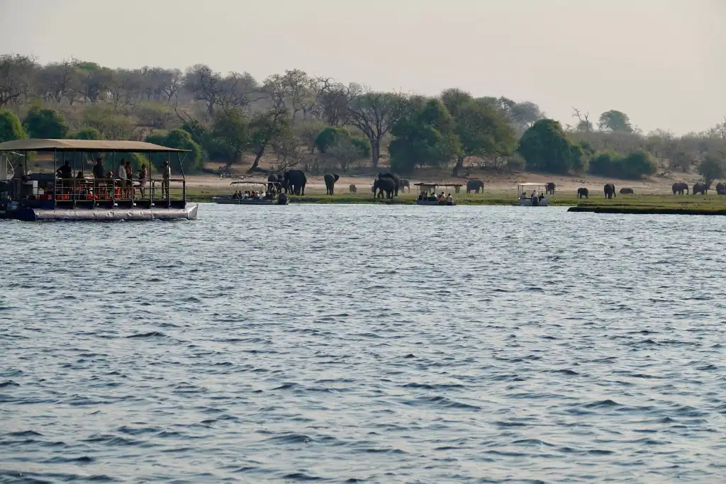 Chobe national park
