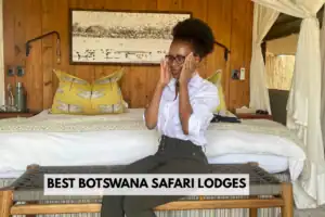 Best Botswana safari lodges