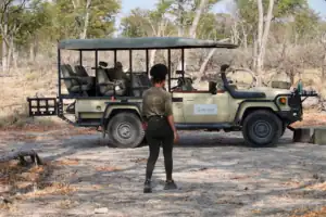 Botswana on a budget