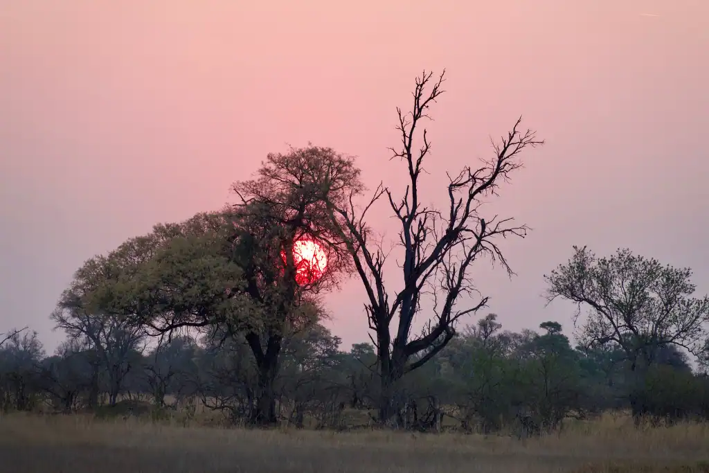 Botswana safari low cost