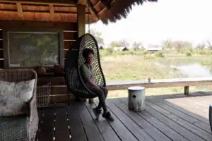 Dudu Mogale relaxing at a safari camp in Botswana