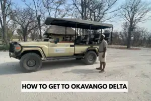 How to get to Okavango Delta