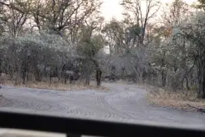 Self drive from South Africa to Botswana