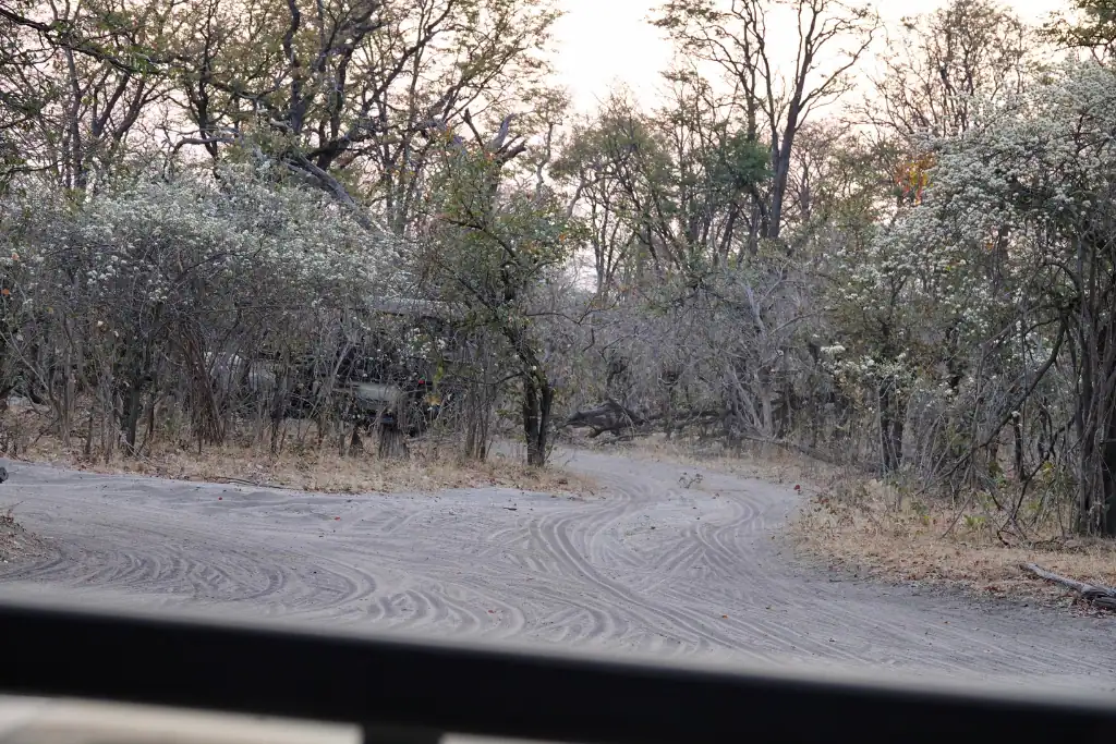 Self drive from South Africa to Botswana