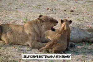 self drive Botswana itinerary