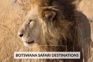 Botswana safari destinations