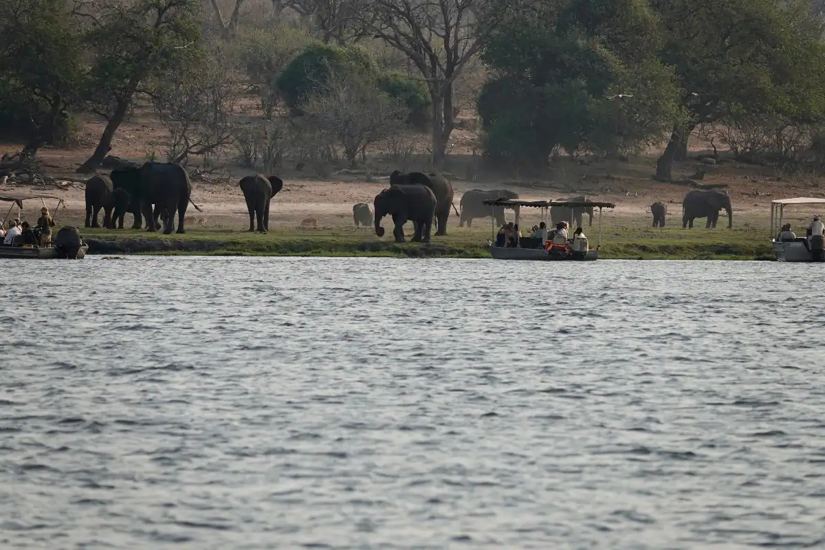 How to get to Chobe National Park