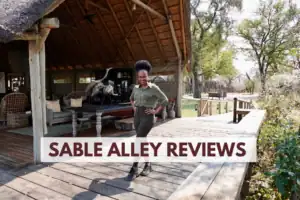 Sable Alley Reviews
