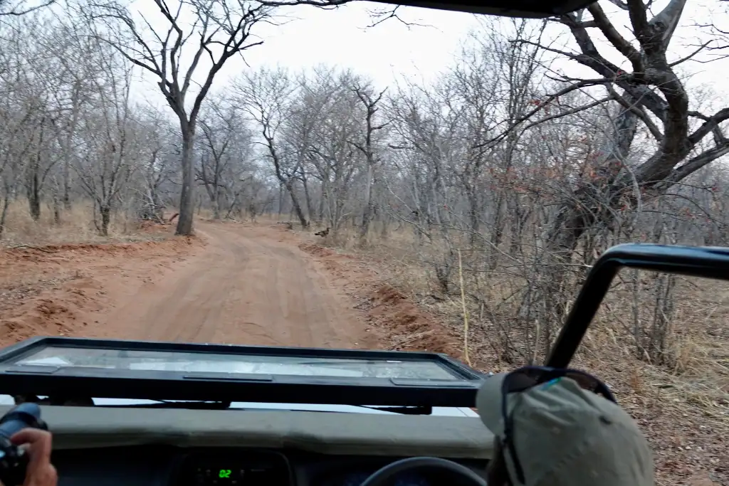 chobe nationa park guide