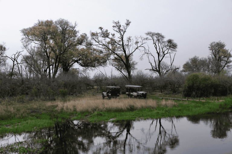 Best time to visit Moremi Game Reserve (1)