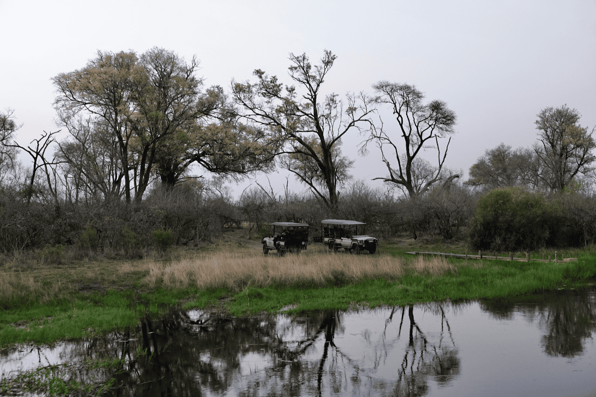 Best time to visit Moremi Game Reserve (1)