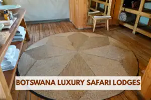 Botswana luxury safari lodges