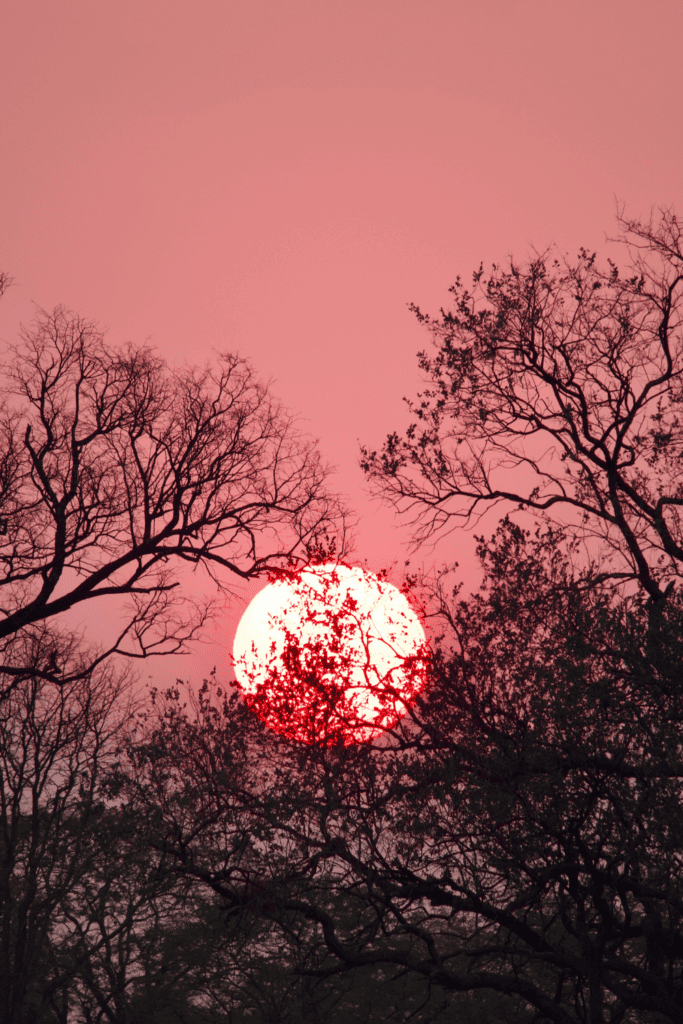 Botswana safari from UK price