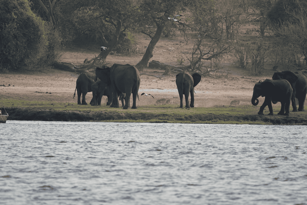 Is Botswana Good For Tourists