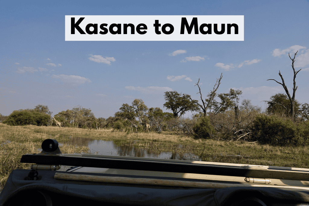 Kasane To Maun
