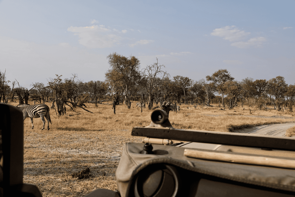 Khwai moremi game reserve