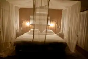 Luxury safari Botswana