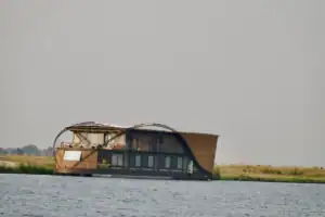 Pangolin voyager Chobe