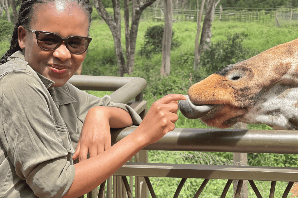 Giraffes prehensile tongue